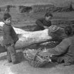 1942年大饥荒的真实惨象