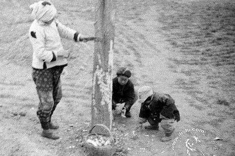 河南灾区的群众